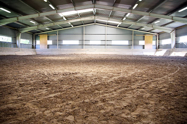 voir un rétroéclairage d’arène d’équitation intérieure pour les chevaux de dressage - écurie photos et images de collection