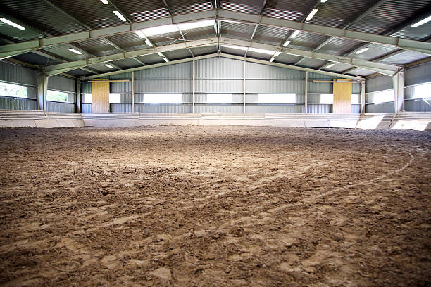 View an indoor riding arena backlight for dressage horses Riding hall with sandy covering without people animal pen stock pictures, royalty-free photos & images