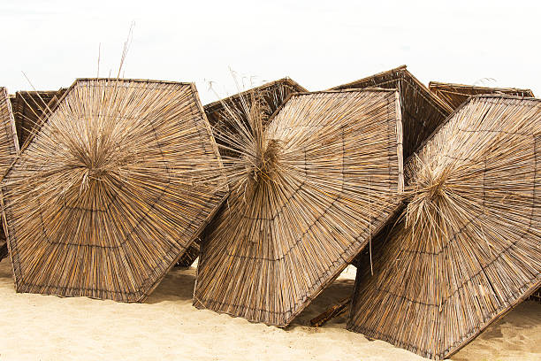 istock Thatched umbrellas on the beach 584571360