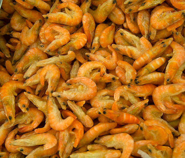 istock lot of shrimp 584574716