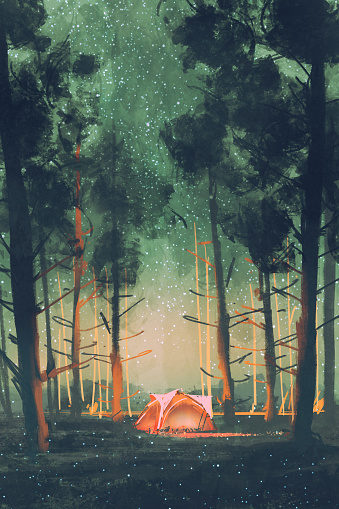 camping in forest at night with stars and fireflies,illustration,digital painting