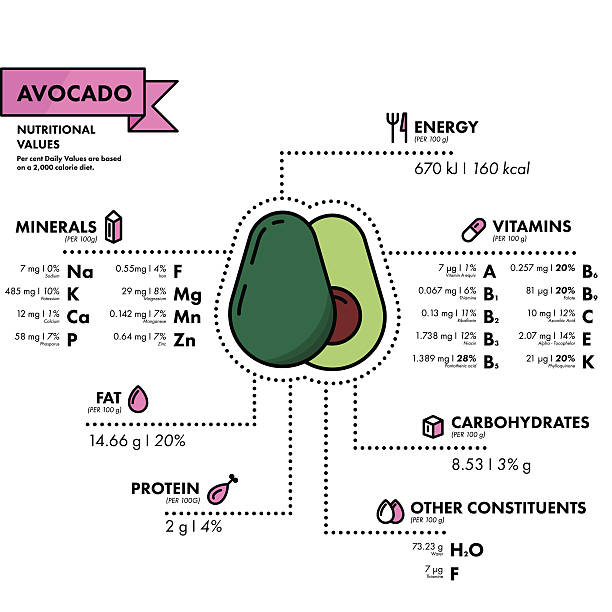 Avocado - nutritional information. Healthy diet. vector art illustration