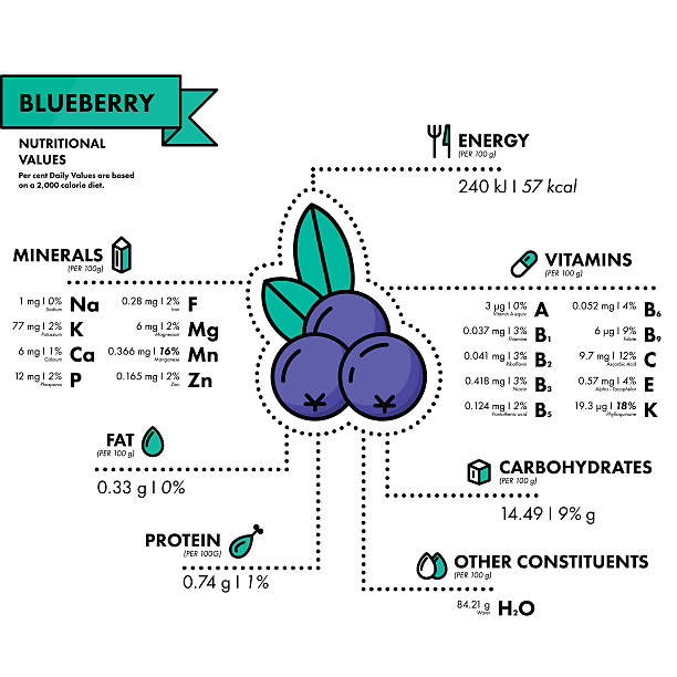 Blueberry - nutritional information. Healthy diet. vector art illustration