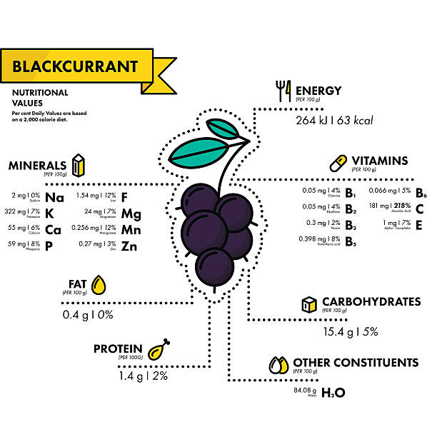 schwarze johannisbeere - nährwertangaben. gesunde ernährung. - nutritional analysis stock-grafiken, -clipart, -cartoons und -symbole