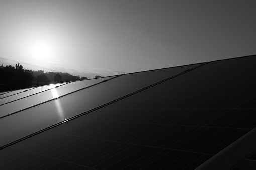 Solar panels in black and white