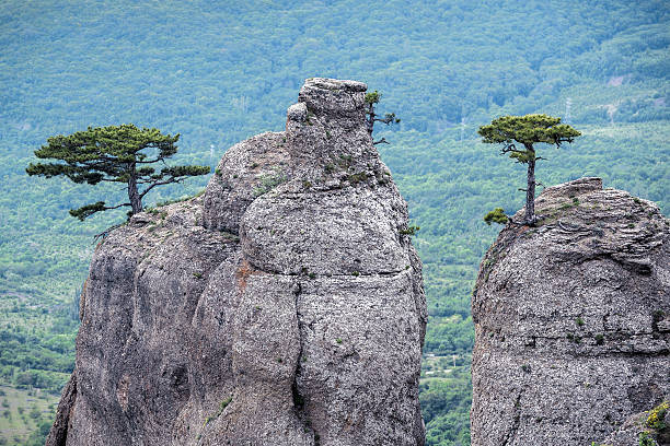 istock Rock formations on the Demerdji mountain in Crimea 584577974