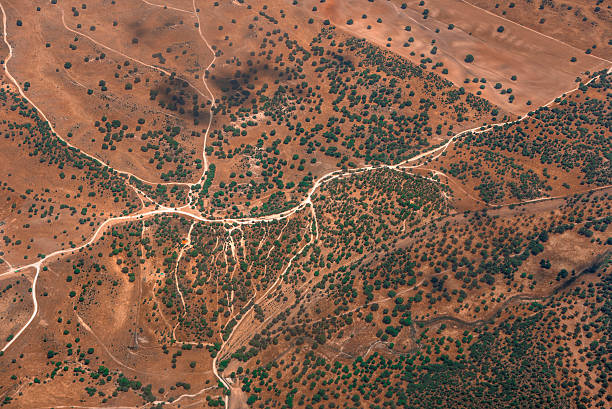 абстрактный воздушный ландшафт с пыльными дорогами, как реки - satellite view topography aerial view mid air стоковые фото и изображения
