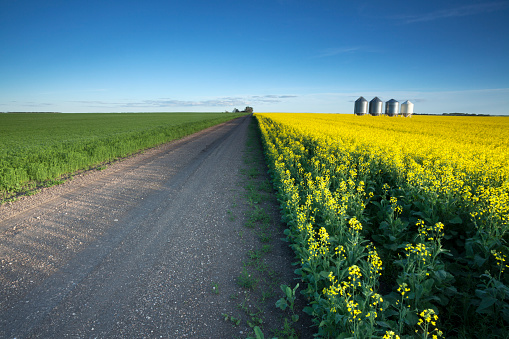 Country road out in the Prairies, Saskatchewan. Image taken from a tripod.
