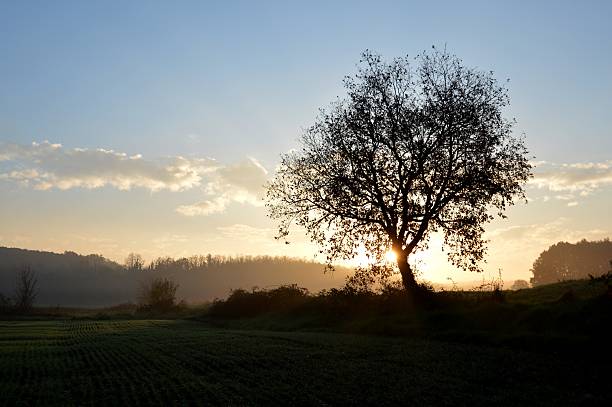 istock Sunrise in the countryside 584587684