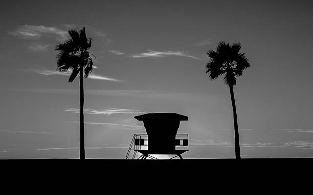 Lifeguard Tower in black and white
