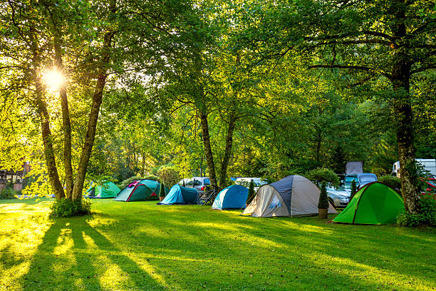 tende area campeggio, mattina presto, bellissimo posto naturale - camping foto e immagini stock