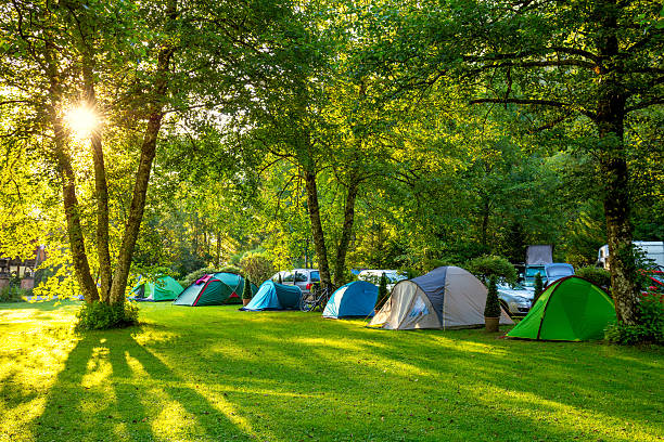 Tents Camping area, early morning, beautiful natural place Tents Camping area, early morning, beautiful natural place with big trees and green grass, Europe camping stock pictures, royalty-free photos & images