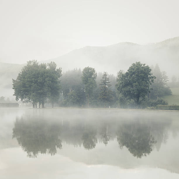 Mist on a lake at dawn with trees and mountains Mist on a lake at dawn with big trees and mountains range reflected in the calm water - Vintage Art toned calm water photos stock pictures, royalty-free photos & images