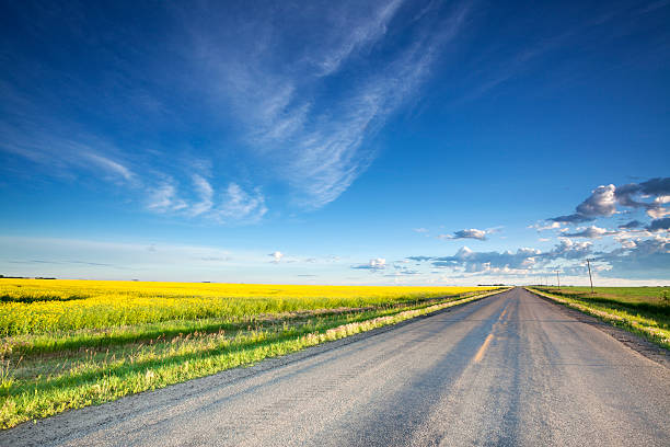 カントリー ロード サスカチュワン - canada saskatchewan grain elevator prairie ストックフォトと画像