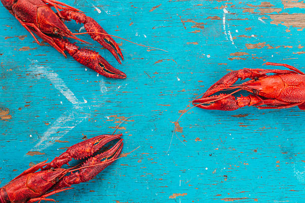 istock crayfish on a blue wooden background 584590750