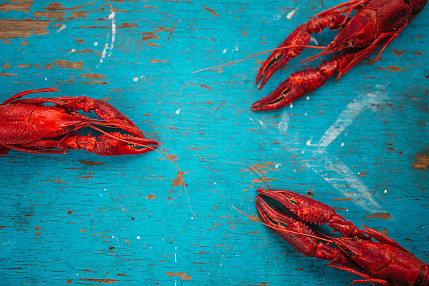 istock crayfish on a blue wooden background 584590924