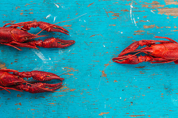 istock crayfish on a blue wooden background 584590964