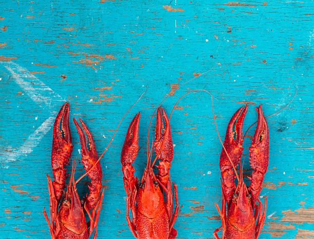 istock crayfish on a blue wooden background 584591054