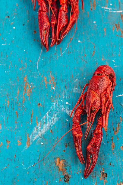 istock crayfish on a blue wooden background 584591382