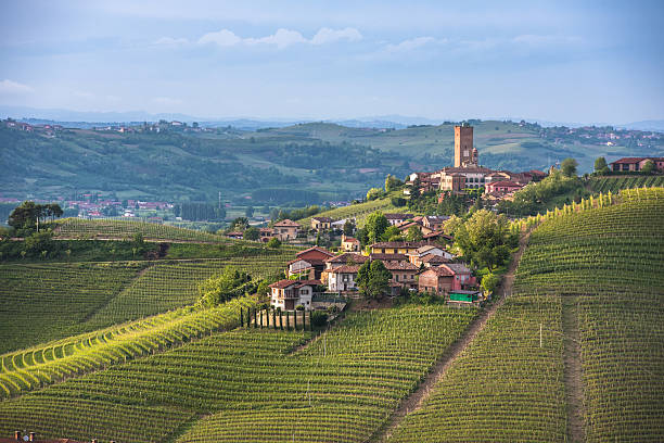 panorama dei vigneti piemontesi e del barbaresco - town village hill panoramic foto e immagini stock