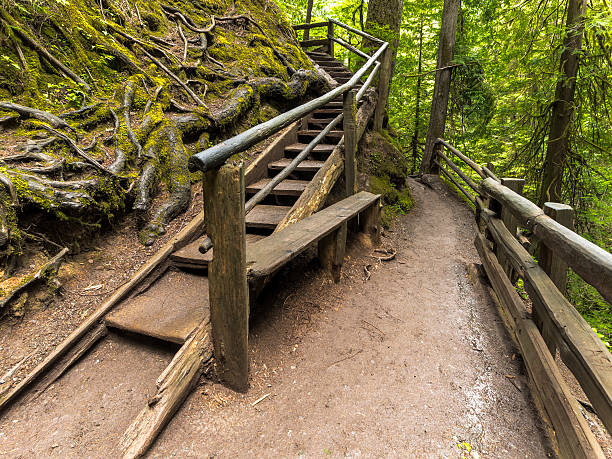 Marymere Falls trail with steps going up and trail going down. This beautiful waterfalls, in the Olympic National Park near Port Angeles, Washington in Northwest Washington State. The park is on Olympic Peninsula in Pacific Northwest. The Olympic Peninsula is a large area of Western Washington that contains around 3600 square miles of land.