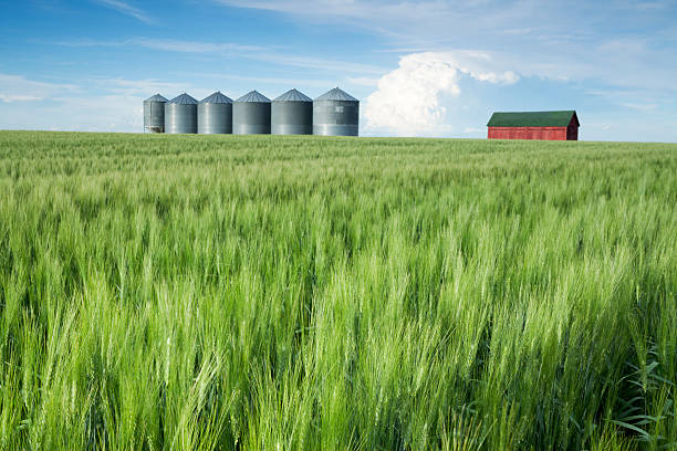 Saskatchewan Agriculture stock photo