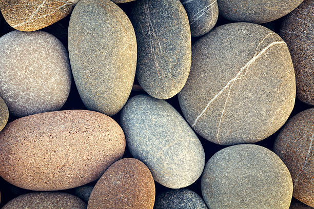 istock abstract background with dry round pebble stones macro 584594864