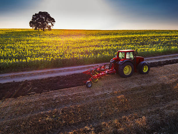 rolnik w ciągniku przygotowywania ziemi z seedbed cultivator - seedbed zdjęcia i obrazy z banku zdjęć