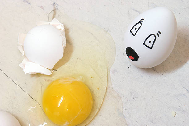 mein freund nicht mehr - eggs animal egg broken yellow stock-fotos und bilder