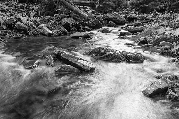 istock Mountain river long exposure black and white landscape. 584598222