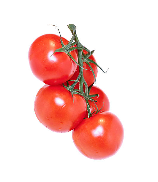 istock Several red tomatoes on a bunch of fruit peduncle isolated 584604434