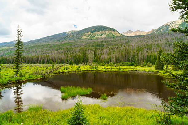 istock Rocky Mountain National Park 584606234