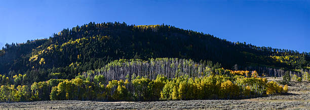 istock Blue Mesa Reservoir Mountains Colorado Panorama 584607288