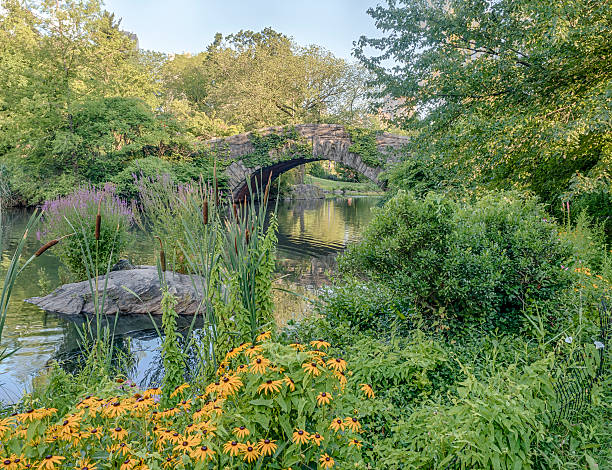 istock Gapstow bridge Central Park, New York City 584607628