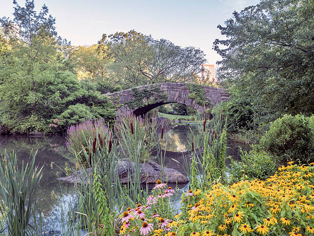 istock Gapstow bridge Central Park, New York City 584607662