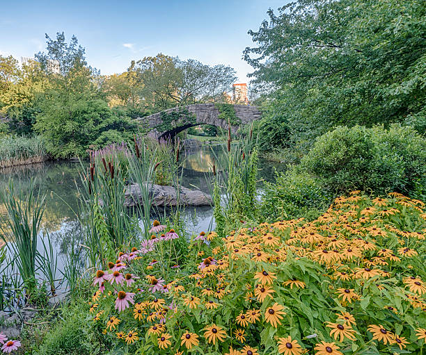 istock Gapstow bridge Central Park, New York City 584607684