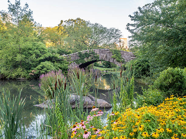 istock Gapstow bridge Central Park, New York City 584607712