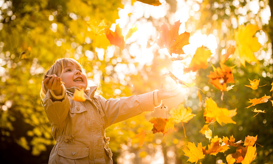 Little child catching falling leaves in fall season - on sunny evening