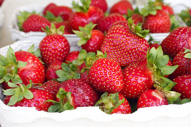 istock freshly harvested strawberries, directly above 584745322
