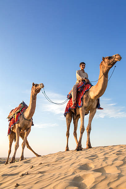 인도 라자스탄 타르 사막에서 라이더와 함께 낙타 - india rajasthan thar desert travel 뉴스 사진 이미지