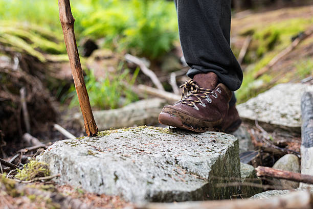istock hiking through woods with walking stick 584747822