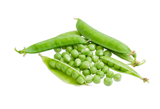 istock Several green peas and several pods of peas 584749682
