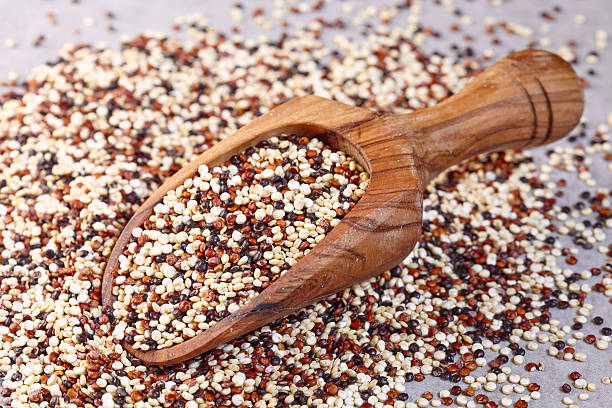 istock Pile of mixed quinoa grain 584750266