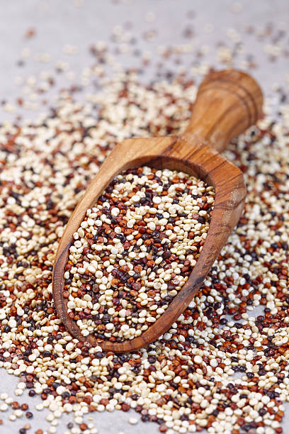 istock Pile of mixed quinoa grain 584750354