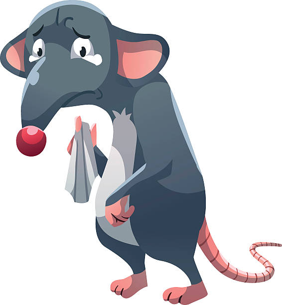 Can Rats Cry 70+ Sad Crying Mouse Stock Photos, Pictures & Royalty-Free Images - iStock