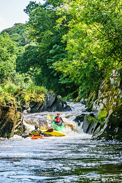 Canoeists riding the rapids Cenarth, UK - July 31, 2016: Two male and one female canoeist riding the rapids on the River Teifi at Cenarth teifi river stock pictures, royalty-free photos & images