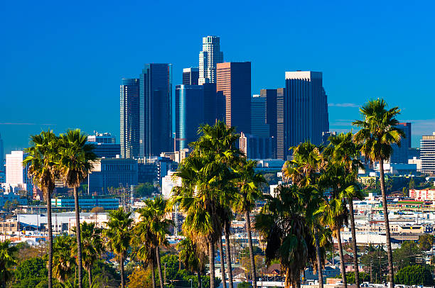 istock Los Angeles Downtown Skyline Aerial with Palm Trees 584755620