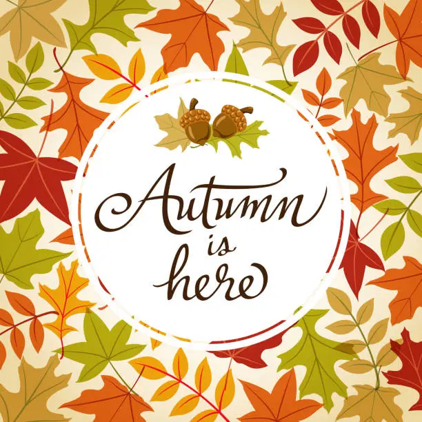 Vector illustration of Autumn is Here Frame