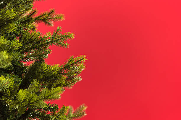 Christmas tree on red background stock photo