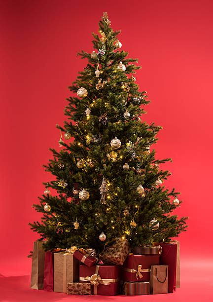 istock Christmas tree with gifts on red background full length 584757636